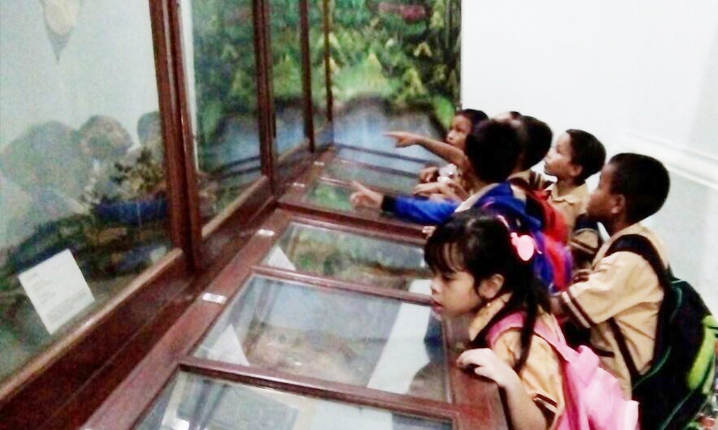 Karya wisata-museum gajah-sai-sekolah anak indonesia-pendidikan daerah tertinggal-anak papua_museum zoologi